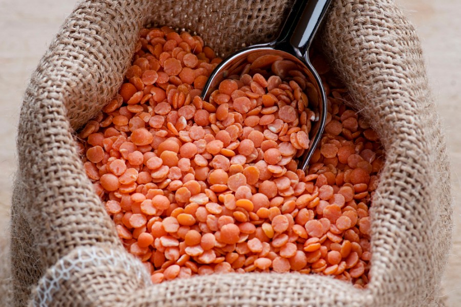 Quel danger représentent les lentilles corail pour la santé ?