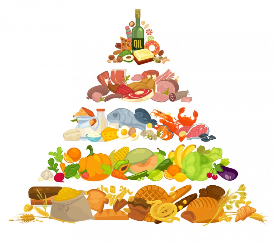 Pyramide des aliments : que comprendre