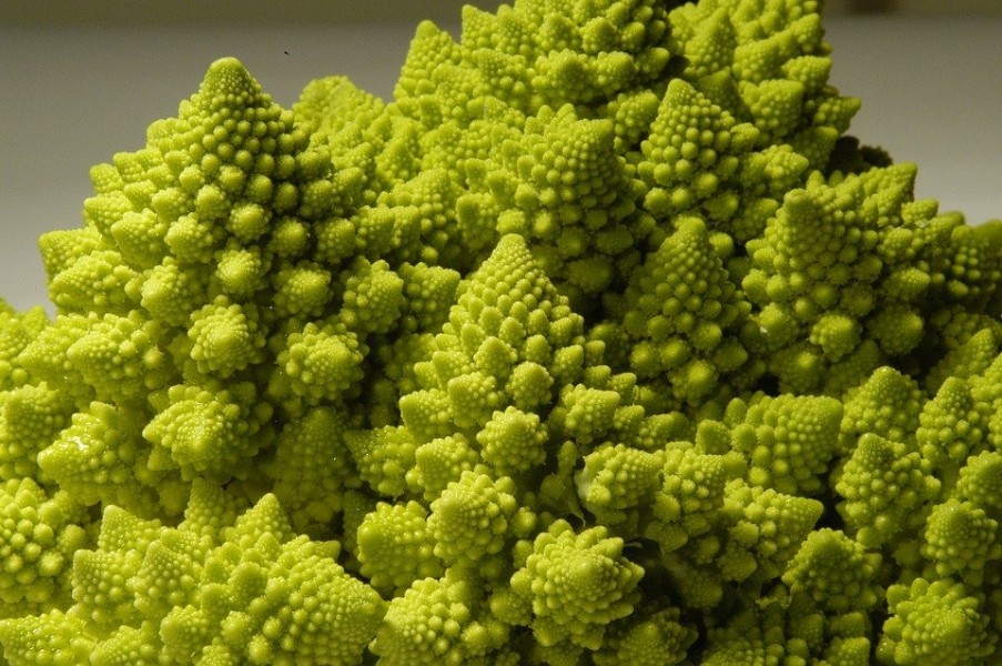 Fleurettes de brocoli et de chou-fleur à la romaine